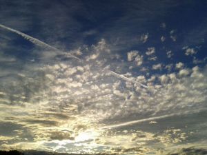 Selbstliebe Blog, wie komme ich in die Selbstliebe, Blog Selbstliebe